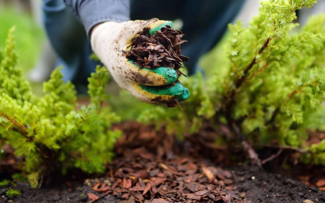 Why Professional Bulk Mulch Delivery Is Worth the Investment
