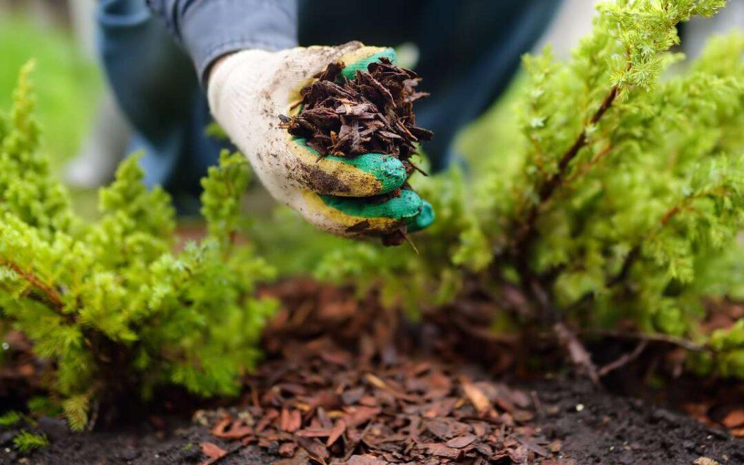 Here at McCarty Mulch and Stone, we’ve helped homeowners and professionals all over central Indiana get the supplies they need to bring their projects to completion.