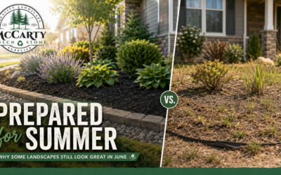 The Secret to Landscapes That Still Look Good in June
